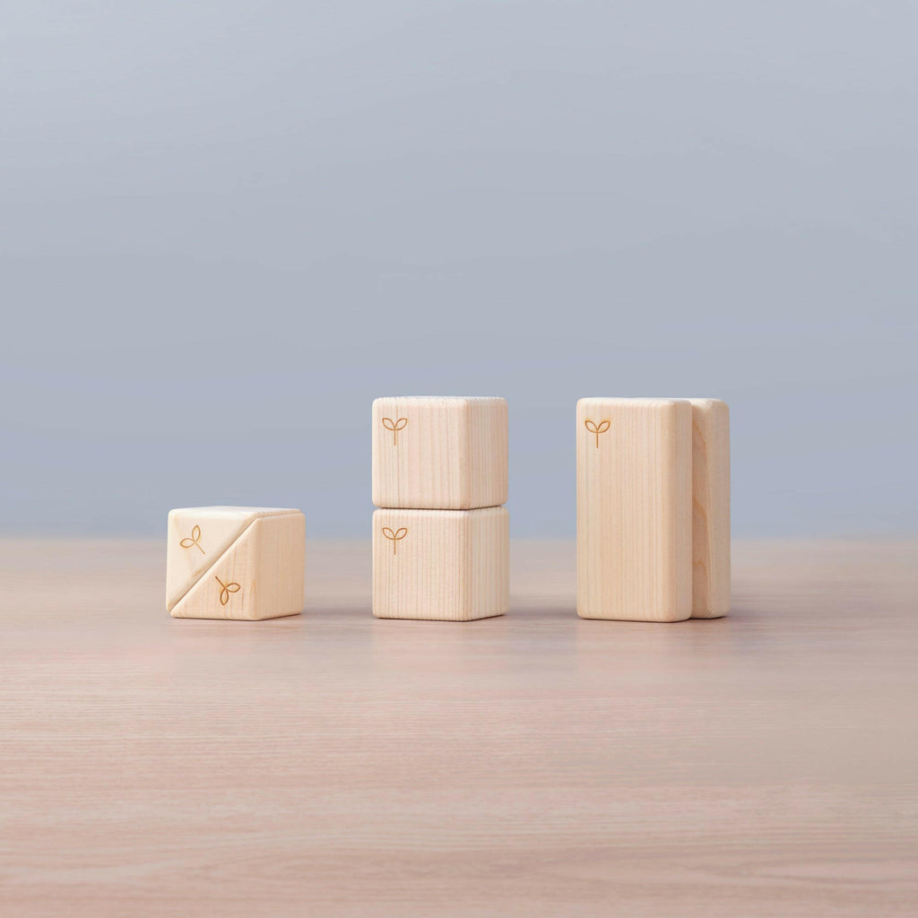 知育つみき 形の一致