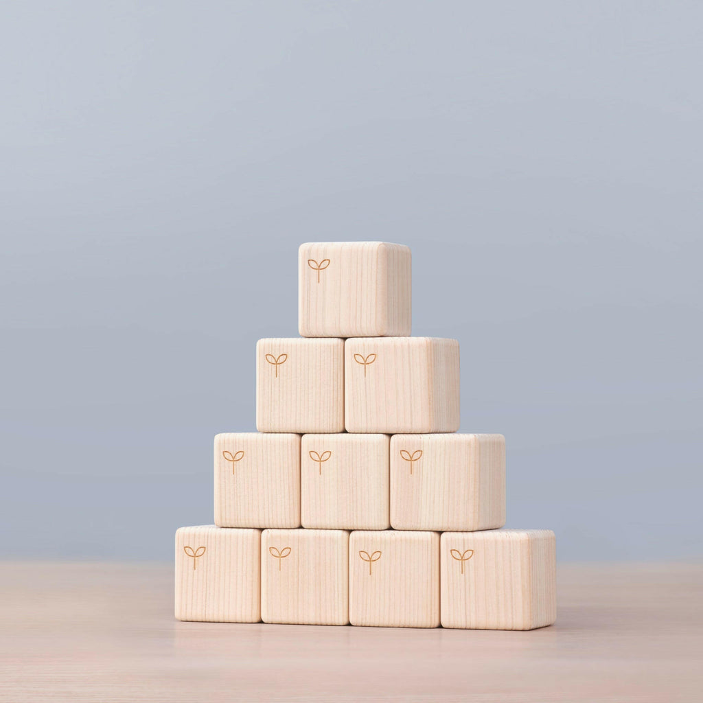 知育つみき キューブ