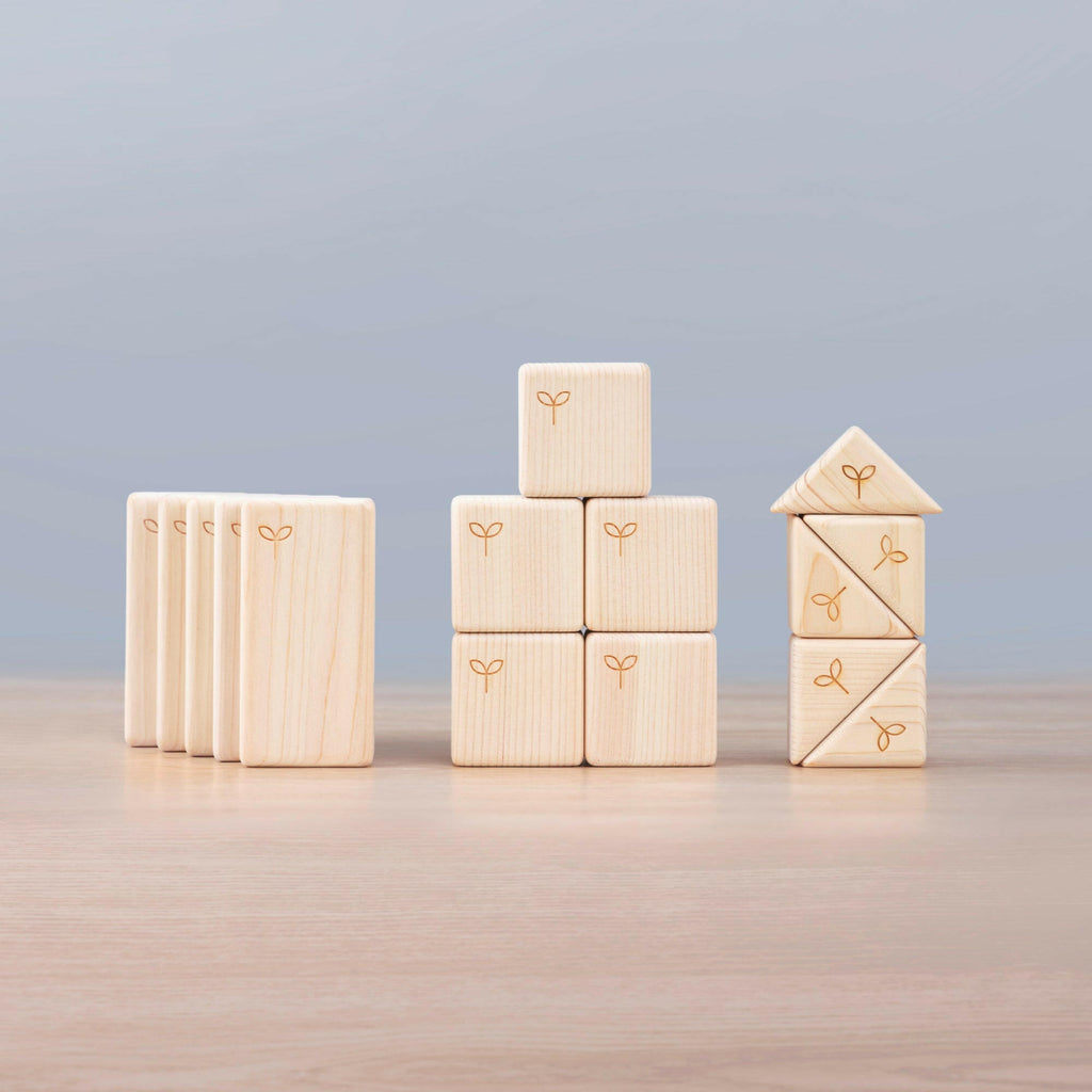 知育つみき 3つのカタチ