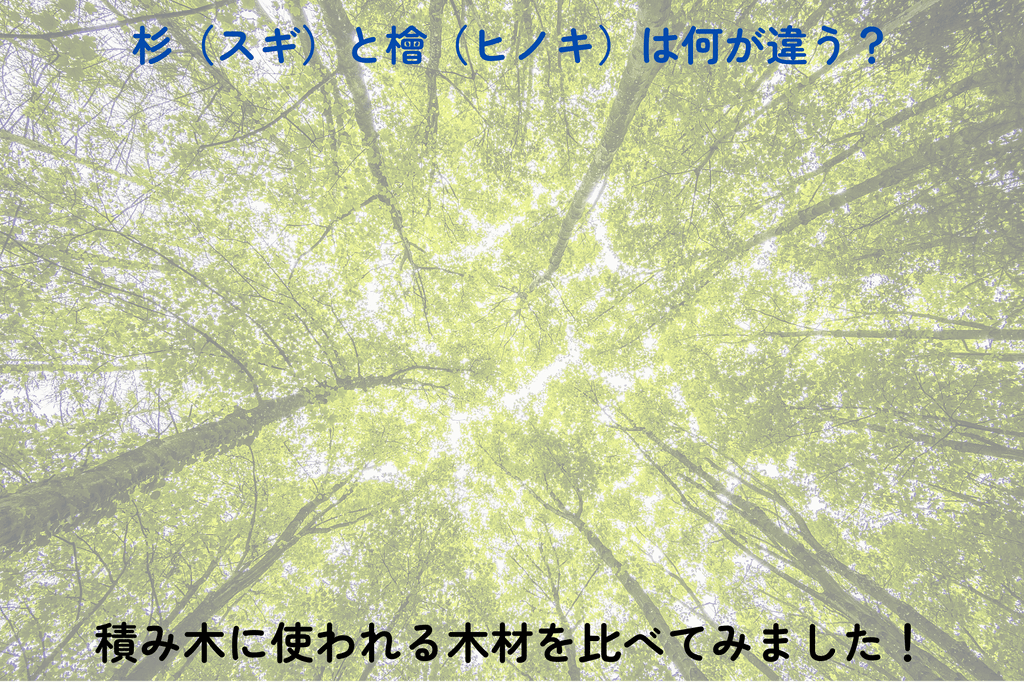 杉（スギ）と檜（ヒノキ）は何が違う？積み木に使われる木材を比べてみました！