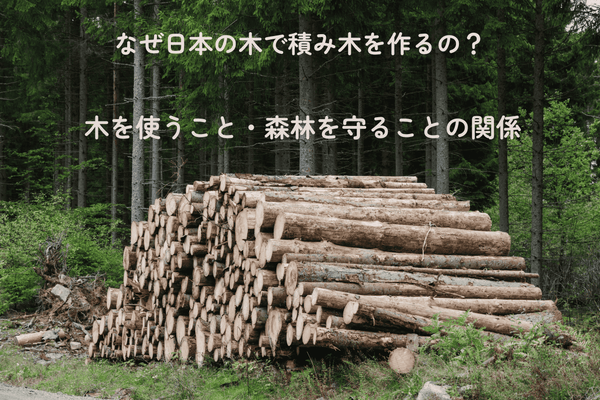 なぜ日本の木で積み木を作るの？木を使うことと森林を守ることの関係