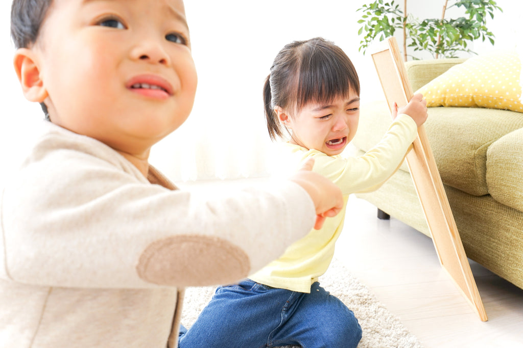 兄弟喧嘩を観察することで見えてくる、怒りと我慢する心理