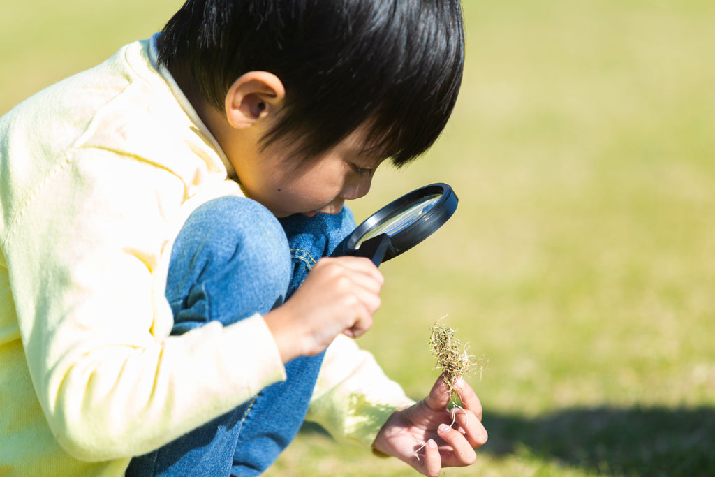 『好奇心』は創造力の源！学ぶことを楽しめる子になる好奇心の育み方とは？
