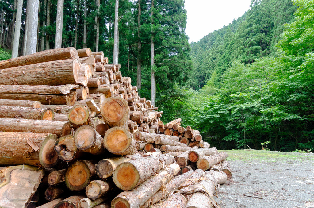 【新商品】つみきーずのつみき（すぎ）の予約販売を開始いたします！